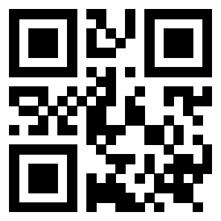 Il Qr Code di 3919262943