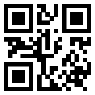 Il Qr Code di 3919262956