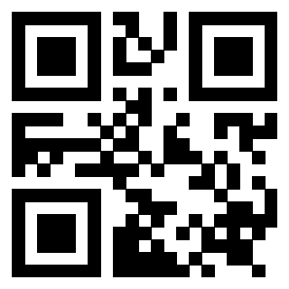 Il Qr Code di 3919262972