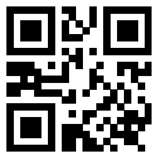Il QrCode di 3919262994