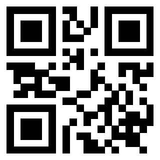 Il Qr Code di 3919262995