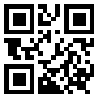 Il QrCode di 3919263005