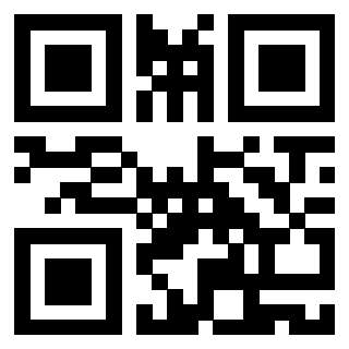 Il Qr Code di 3919263023