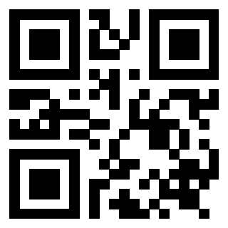 Il Qr Code di 3919263052