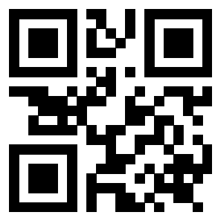 Il Qr Code di 3919263088