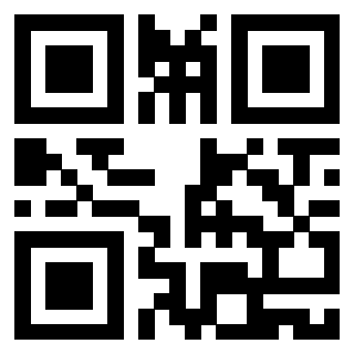 QrCode di 3919263092