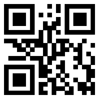 Il Qr Code di 3919263096