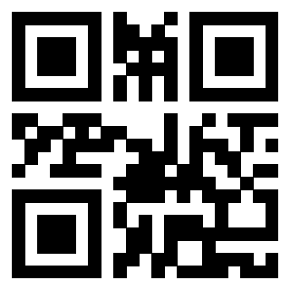 Il Qr Code di 3919263172