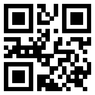 Il Qr Code di 3919263179