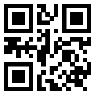 Il Qr Code di 3919263250