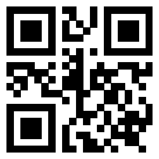 Il Qr Code di 3919263271