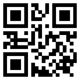QrCode di 3919263284
