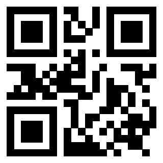 Il Qr Code di 3919263304