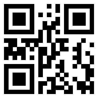 Il Qr Code di 3919263346