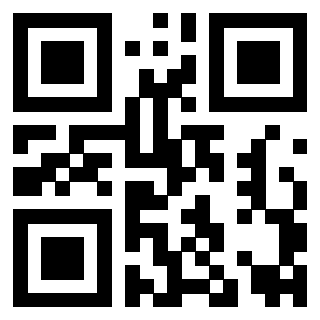 Il Qr Code di 3919263387