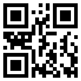 Il Qr Code di 3919263423