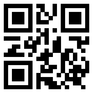 Il Qr Code di 3919263457