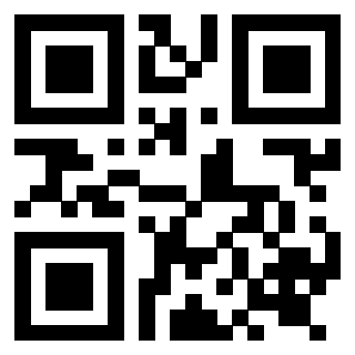 Il QrCode di 3919263481