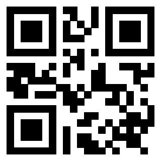 Il Qr Code di 3919263482