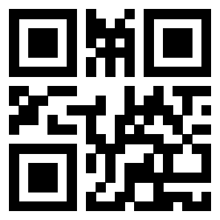 Il Qr Code di 3919263491