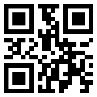 Il Qr Code di 3919263493