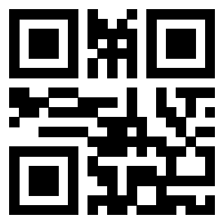Il Qr Code di 3919263522