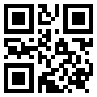 Il Qr Code di 3919263531