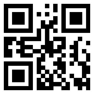 QrCode di 3919263573