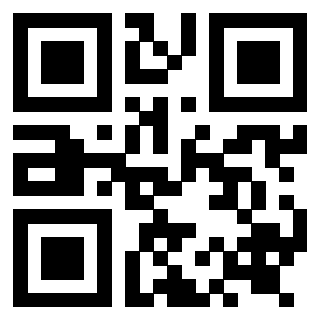 QrCode di 3919263602