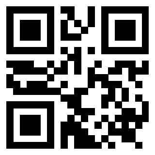 Il Qr Code di 3919263606