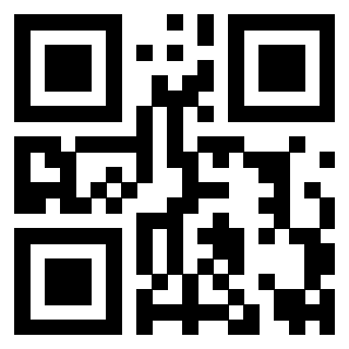 Il Qr Code di 3919263633
