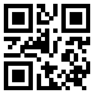 Il Qr Code di 3919263652