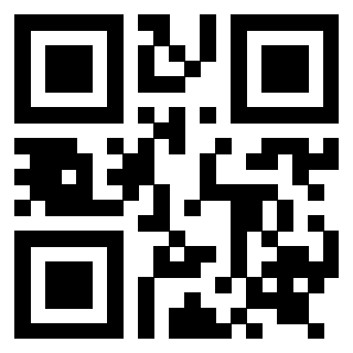 Il Qr Code di 3919263677