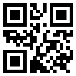 Il Qr Code di 3919263678