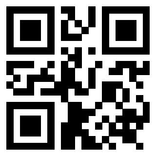 Il Qr Code di 3919263690