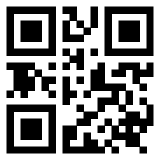 Il Qr Code di 3919263718