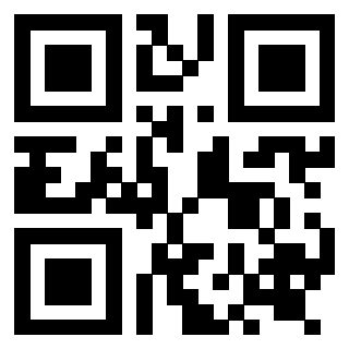 Il Qr Code di 3919263723