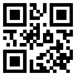 Il Qr Code di 3919271531