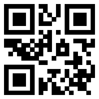 3919271533 Qr Code associato