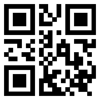 Il Qr Code di 3919271543