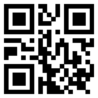 Il Qr Code di 3919271561