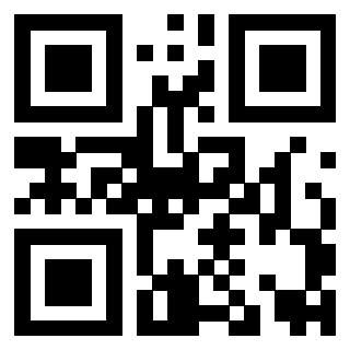 QrCode di 3919271572