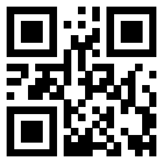 Il Qr Code di 3919271579