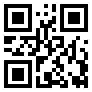 Il Qr Code di 3919271597