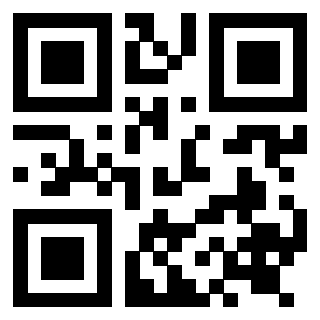Il Qr Code di 3919271624