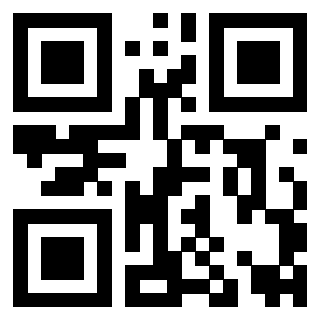 Il Qr Code di 3919271636
