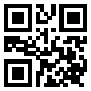 Il Qr Code di 3919271670