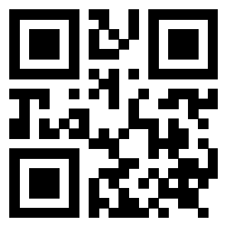 Il Qr Code di 3919271676