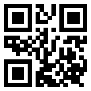 3919271691 - Immagine del QrCode associato