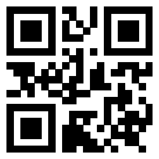 Il Qr Code di 3919271717